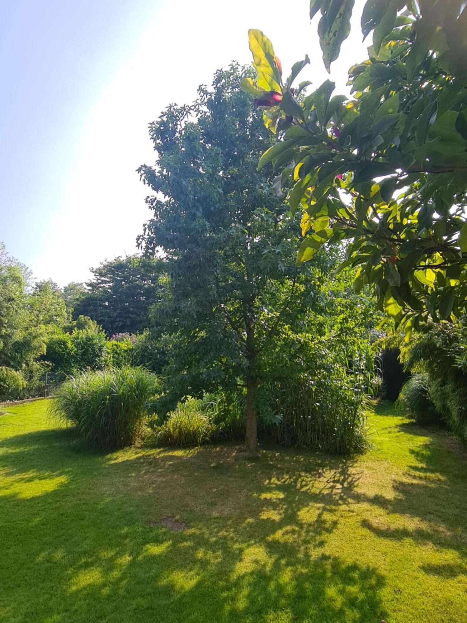 Gemuetliche Wohnung Koelner Norden Buitenkant foto